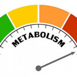 223480bb-1ca3-4de4-88ba-b2fa11b11636-thumb