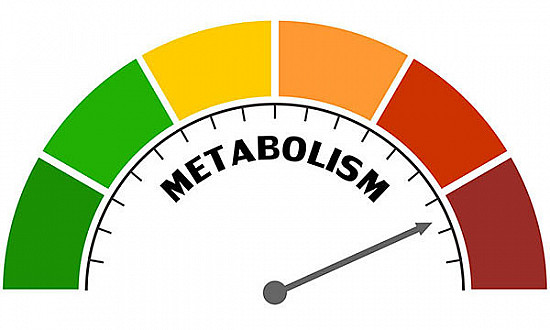 Understanding Metabolic Changes Across Age Groups